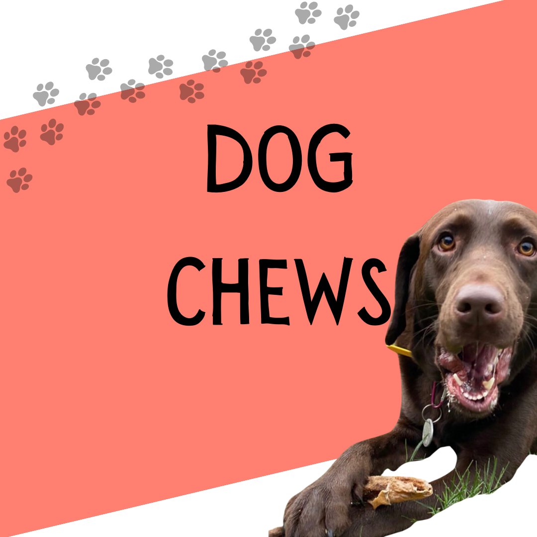 Dog Chews