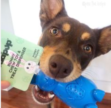 SodaPup Tough Bunny Chew and Enrichment Toy