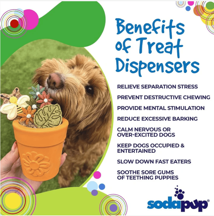 Flower Pot eCup filled with frozen enrichment ingredients