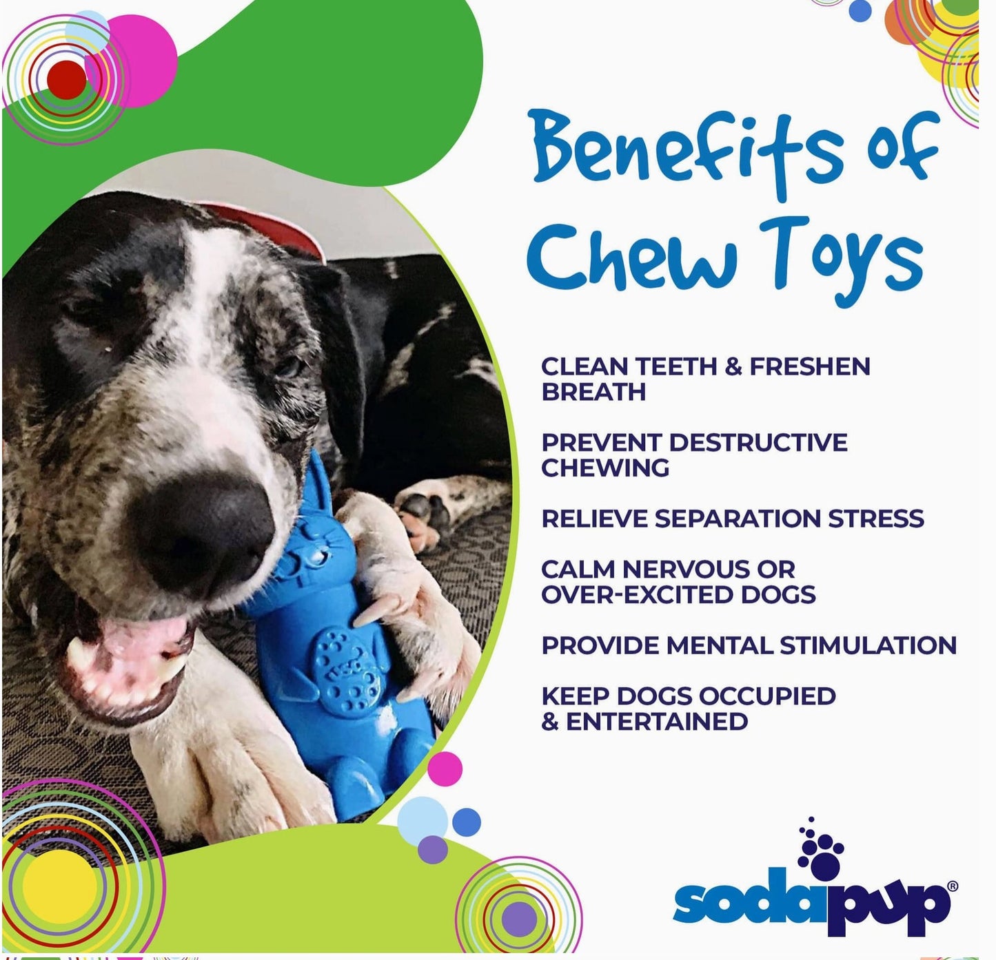 SodaPup Tough Bunny Chew and Enrichment Toy - Chewbox Natural Dog Chew - Grain & Gluten Free