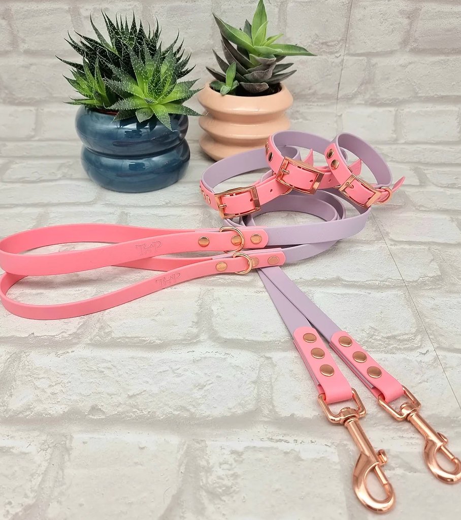 Biothane Collar & Lead Sets - Chewbox Natural Dog Chew - Grain & Gluten Free