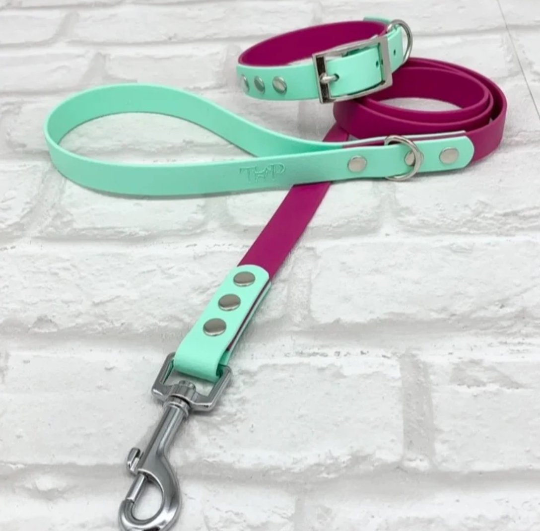 Biothane Collar & Lead Sets - Chewbox Natural Dog Chew - Grain & Gluten Free