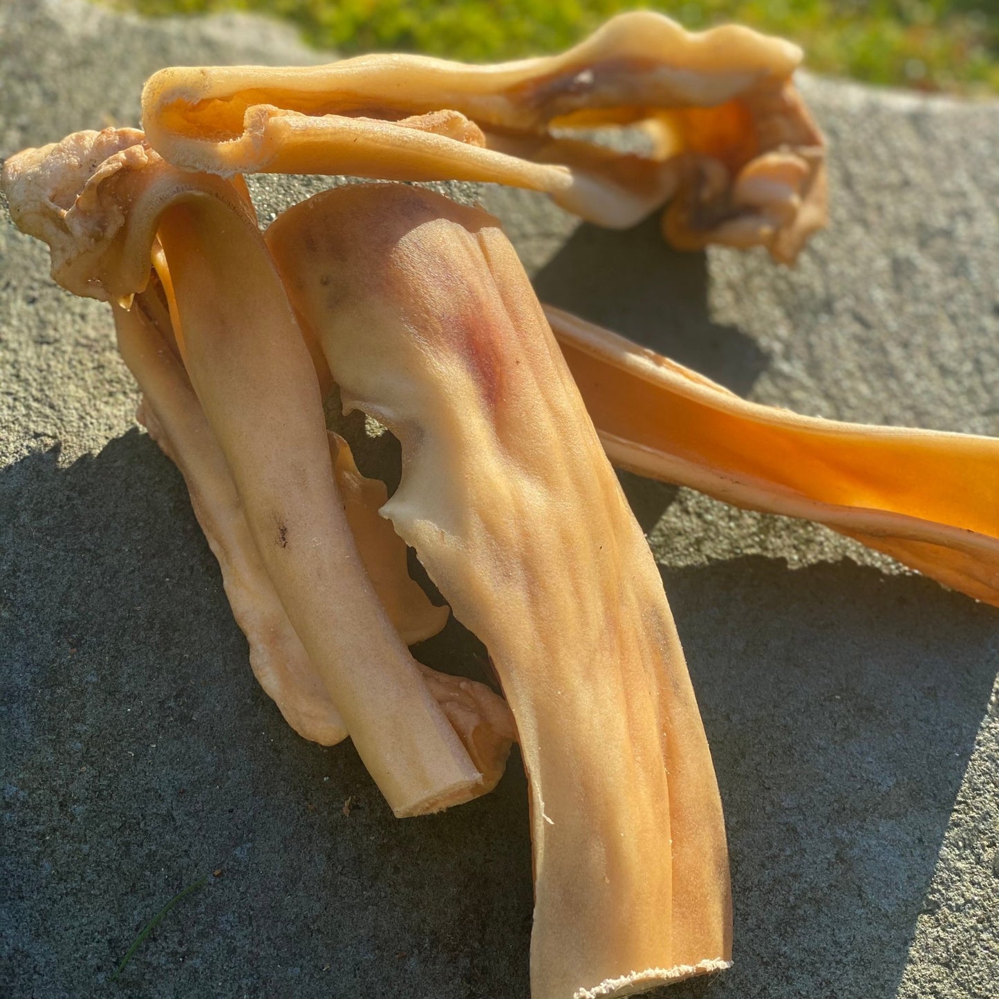 Buffalo Skin Pieces - Chewbox Natural Dog Chew - Grain & Gluten Free