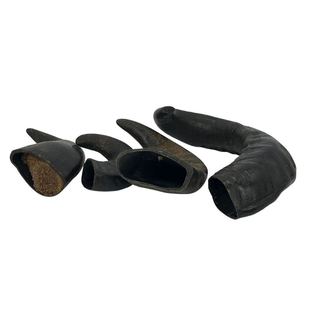 Buffalo Horns - Dogs Go Shop Natural Dog Chew - Grain & Gluten Free