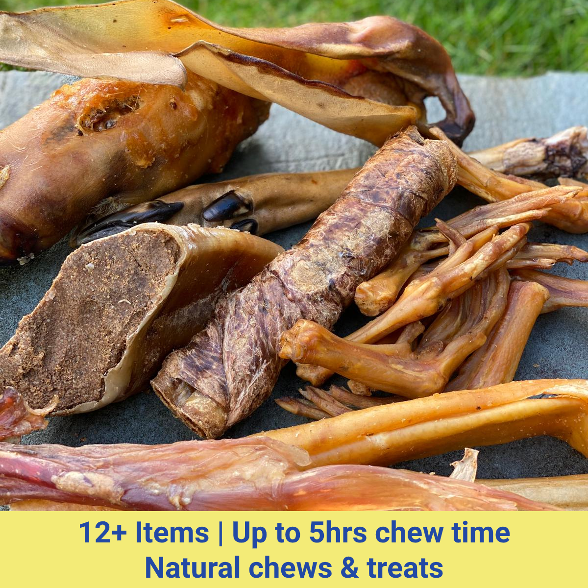 Puppy Chewbox Essential - Chewbox Natural Dog Chew - Grain & Gluten Free