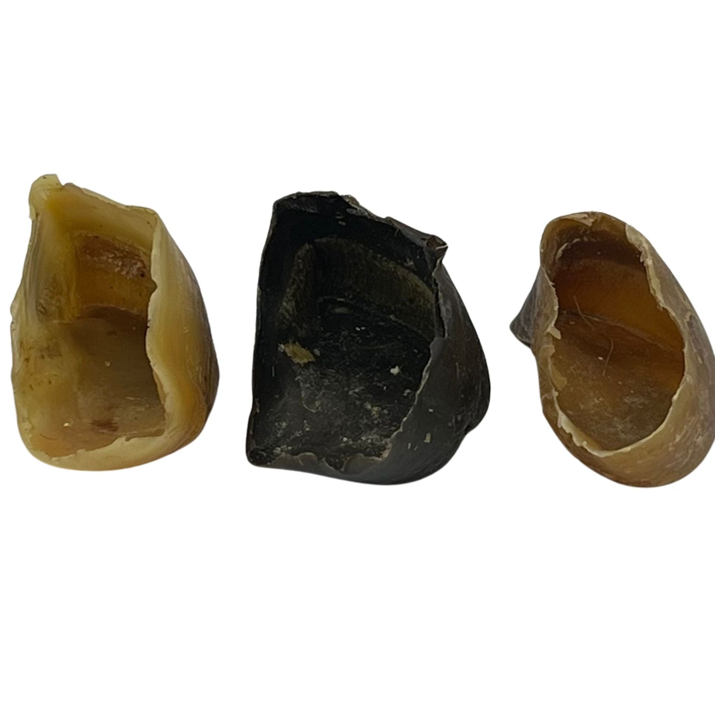 Cow Hooves - Chewbox Natural Dog Chew - Grain & Gluten Free