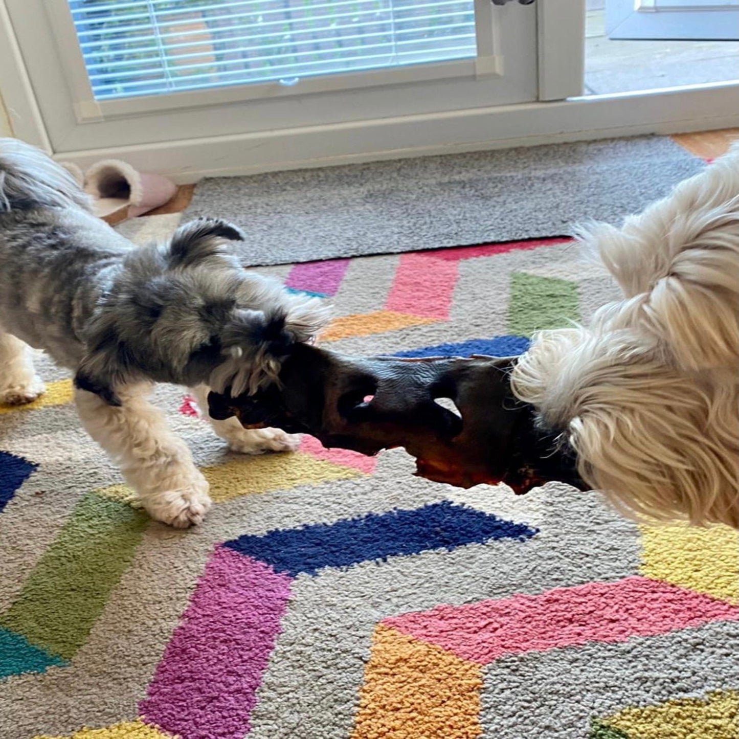 Cow Noses - Chewbox Natural Dog Chew - Grain & Gluten Free