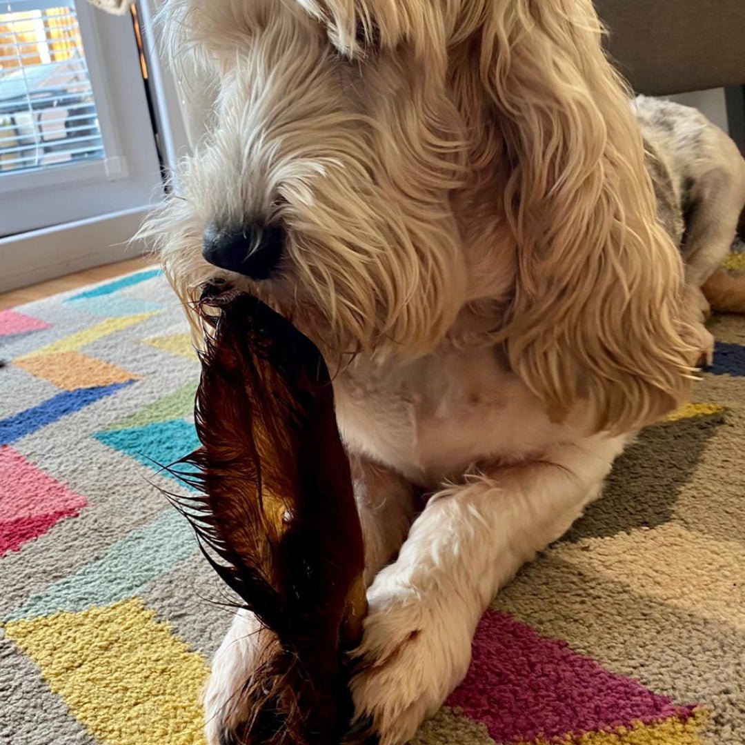 Furry Cow Ears - Chewbox Natural Dog Chew - Grain & Gluten Free