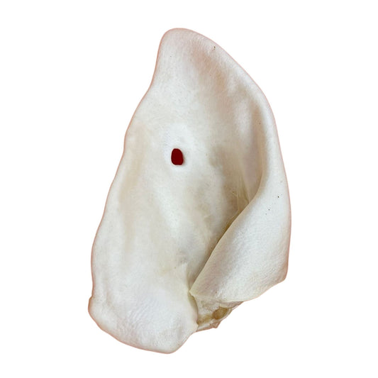 Giant Puffed Pig Ears - Chewbox Natural Dog Chew - Grain & Gluten Free