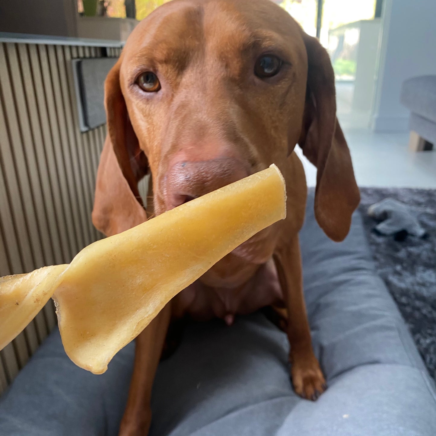 Buffalo Skin Slices - Chewbox Natural Dog Chew - Grain & Gluten Free
