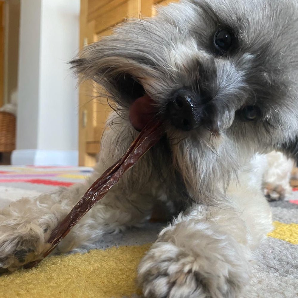 Lamb Spaghetti - Chewbox Natural Dog Chew - Grain & Gluten Free