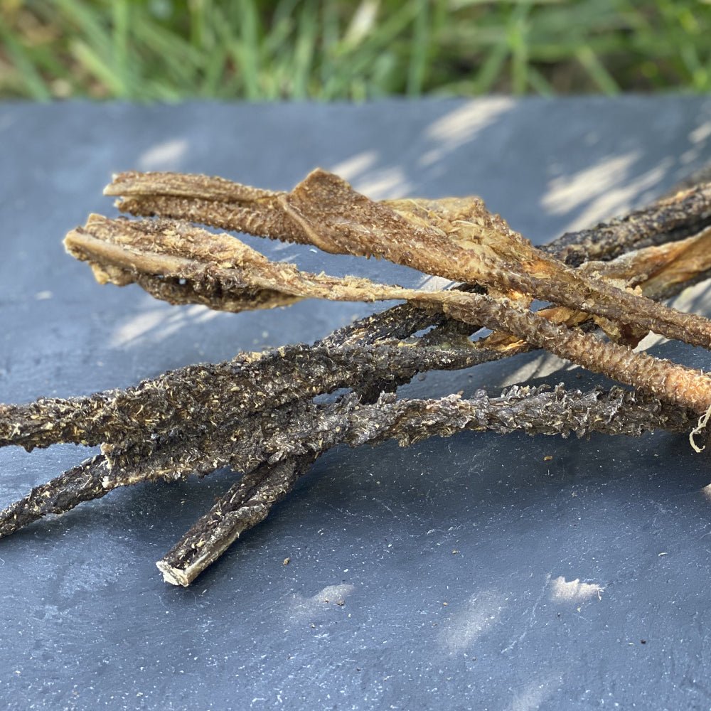 Lamb Tripe 25cm - Chewbox Natural Dog Chew - Grain & Gluten Free