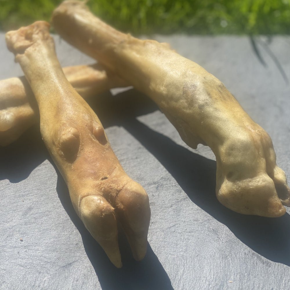 Lamb Feet - Chewbox Natural Dog Chew - Grain & Gluten Free