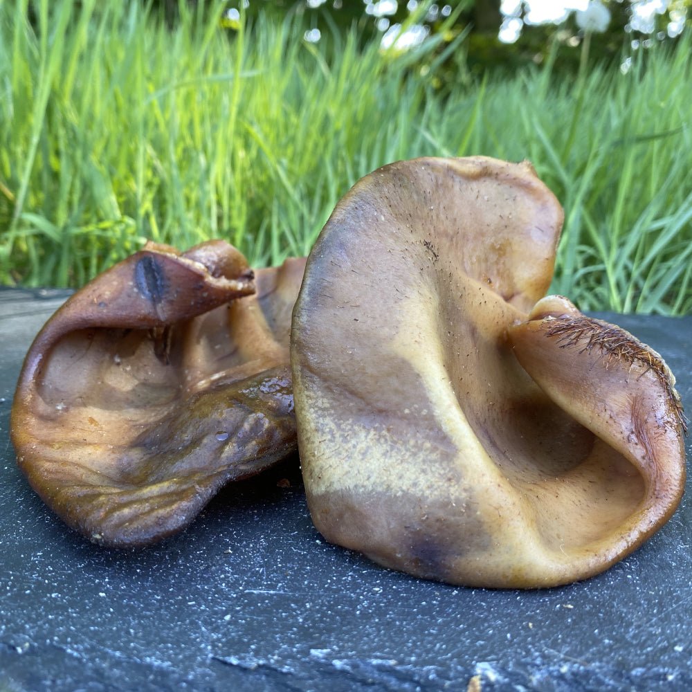 Grade A Pig Ears - Chewbox Natural Dog Chew - Grain & Gluten Free