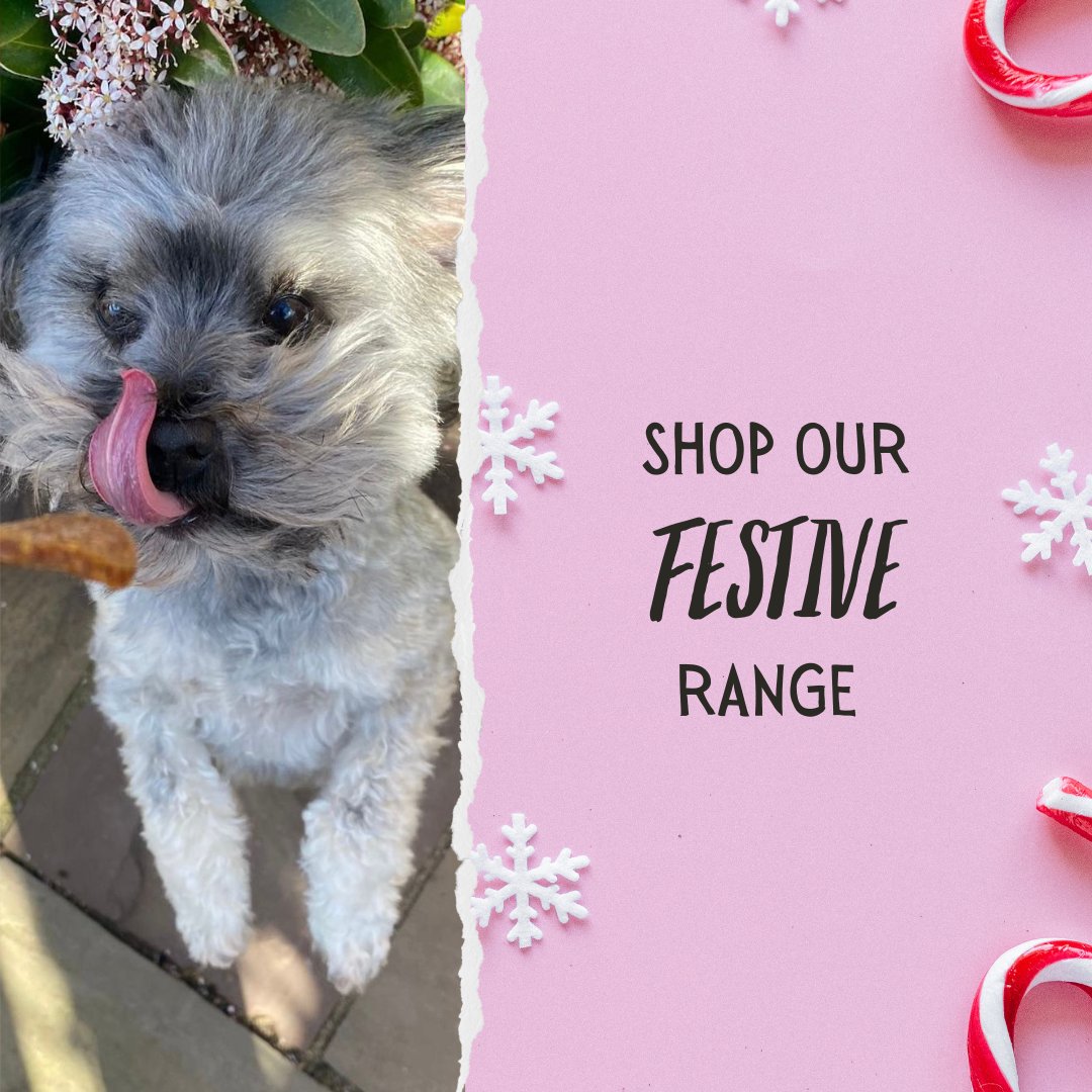 Christmas - Chewbox