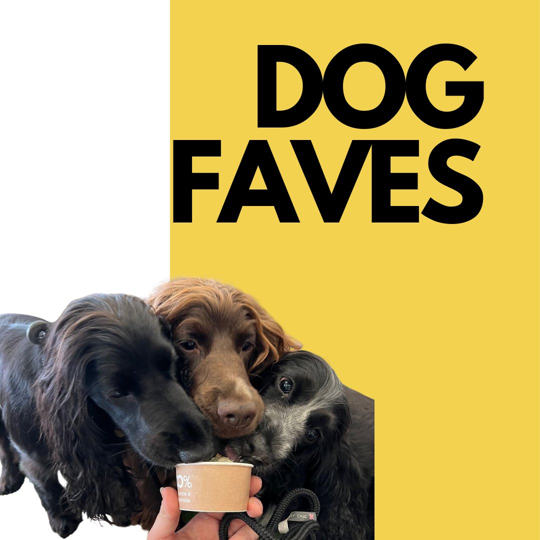 Dog Faves