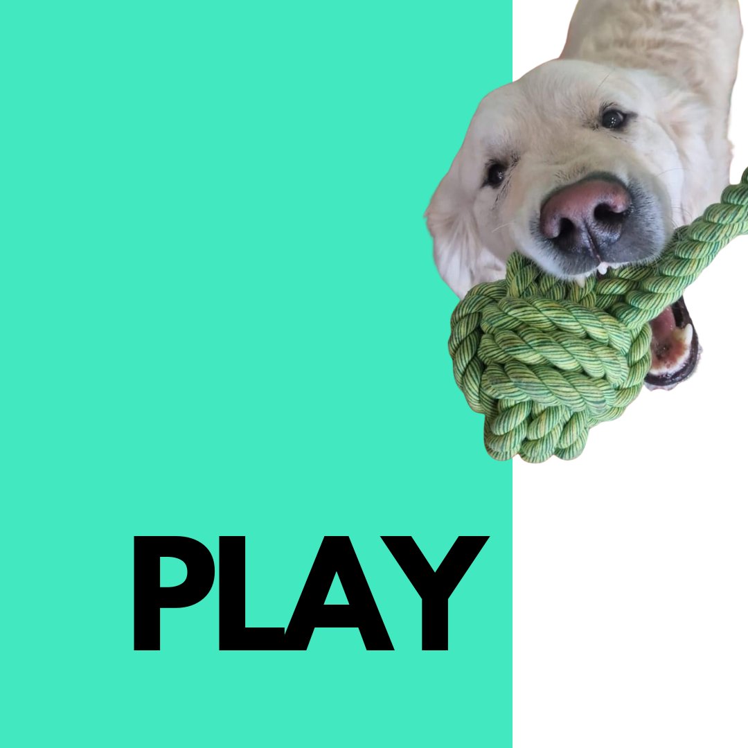 Toys & More