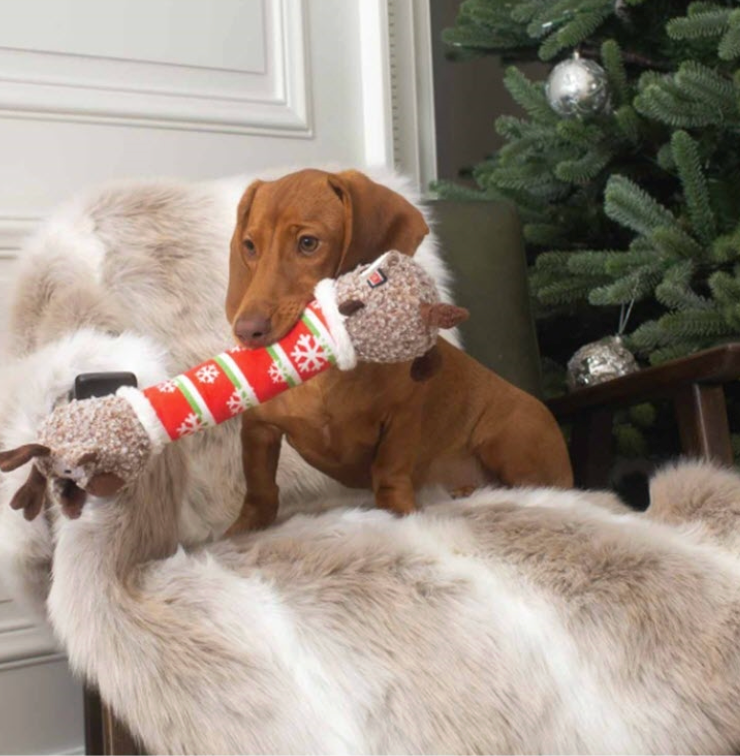 KONG Holiday Shakers Luvs Reindeer Plush Dog Toy - Chewbox