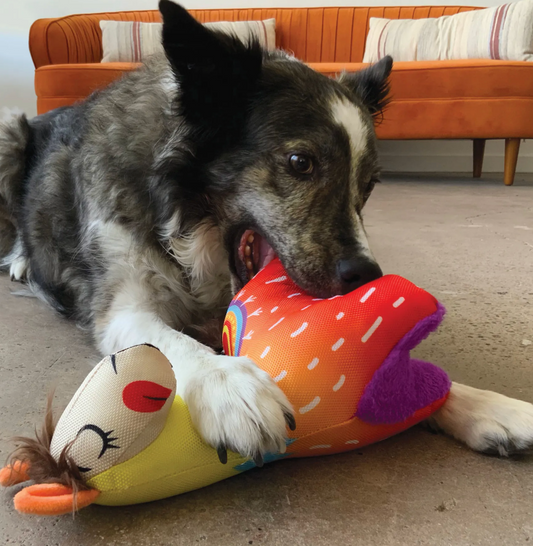 KONG Ballistic Vibes Llama