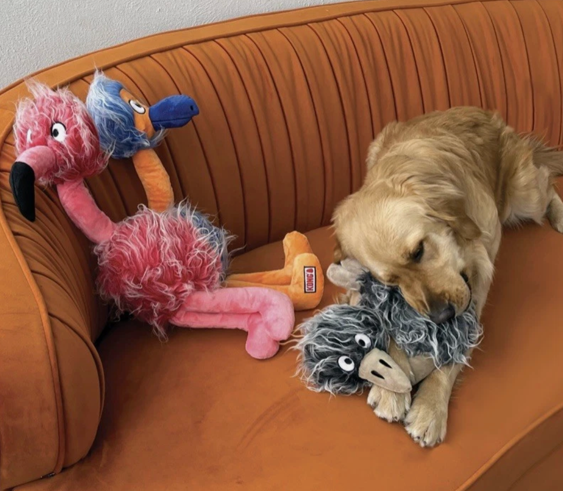 KONG Comfort Jumbo Bird