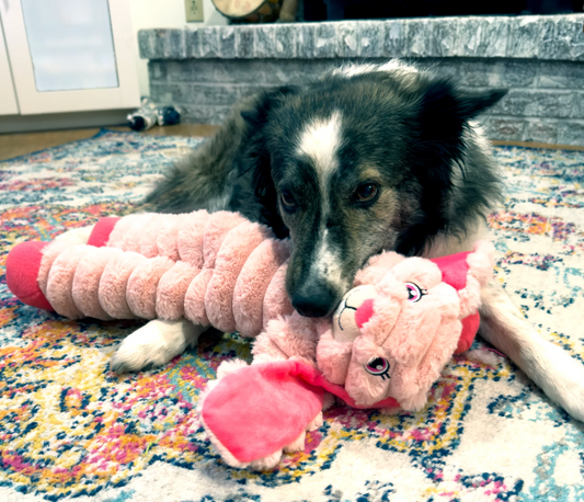 KONG Shakers Crumples Rabbit