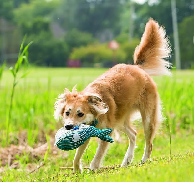 KONG Cute Seas Seahorse