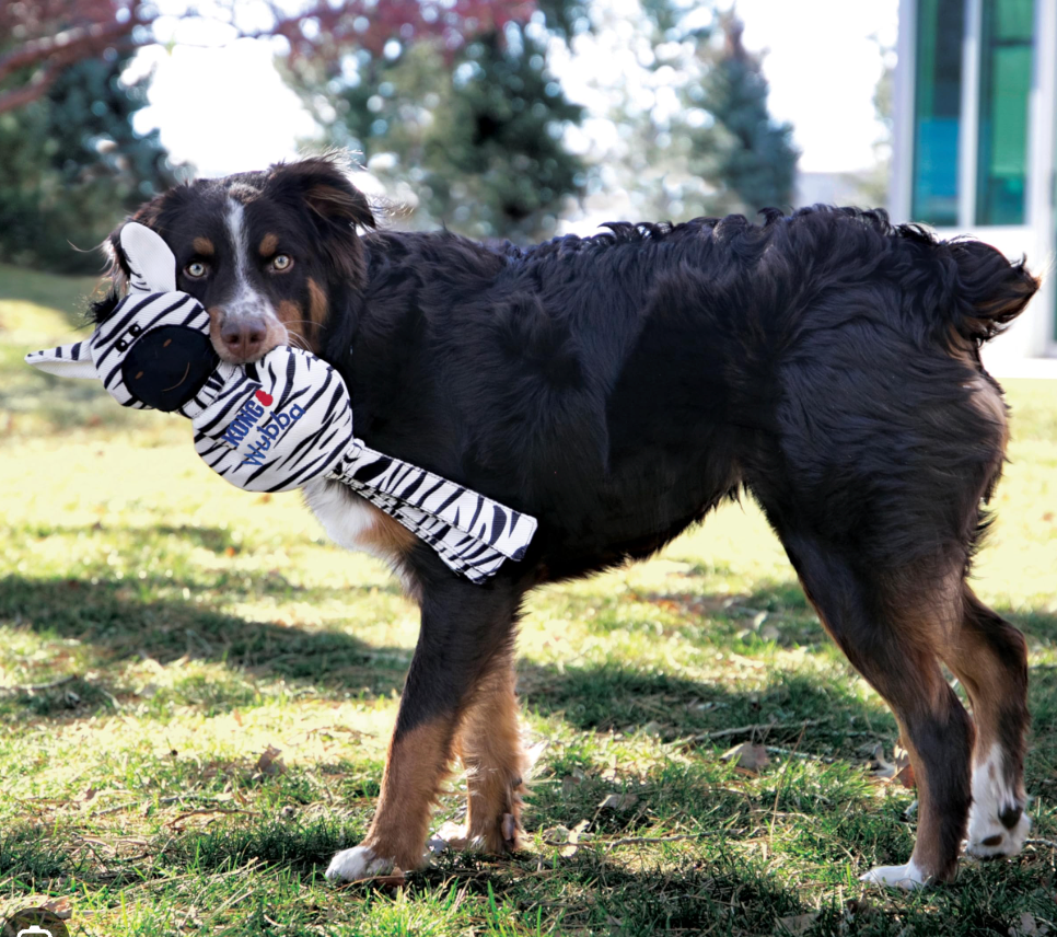 KONG Wubba No Stuff Cheetah