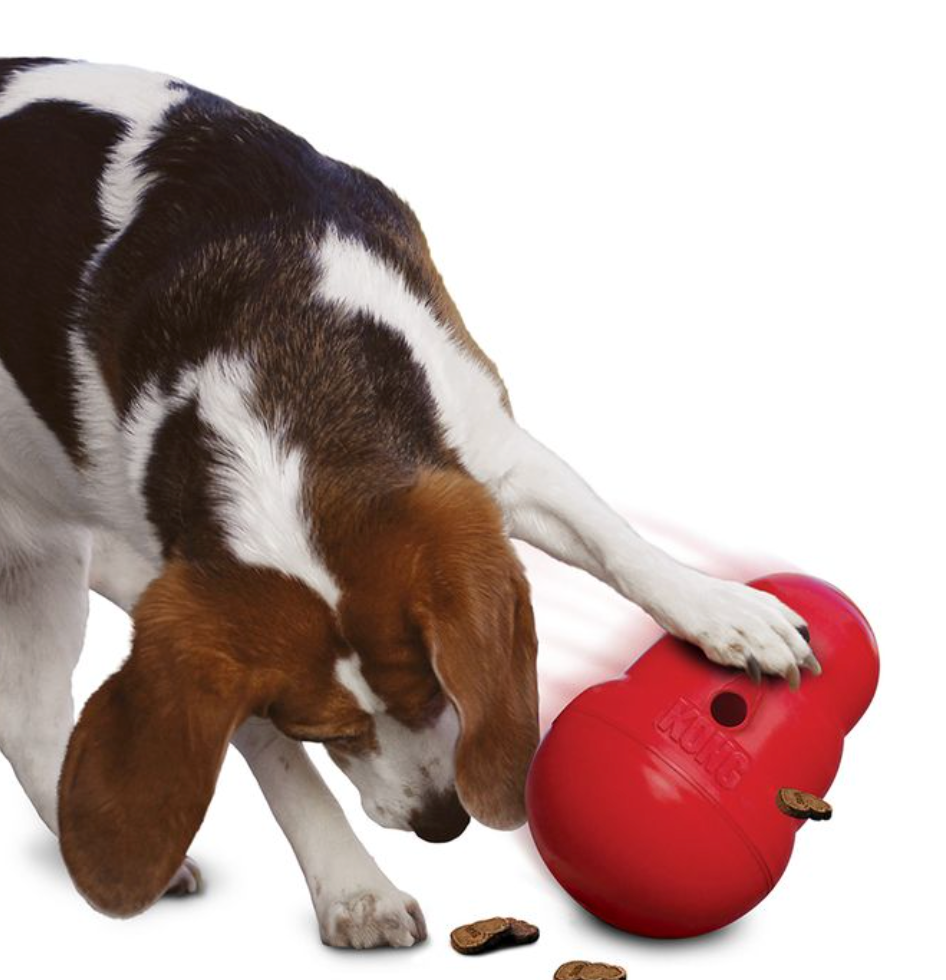 KONG Wobbler Treat Dispensing Dog Toy - Dogs Go Shop