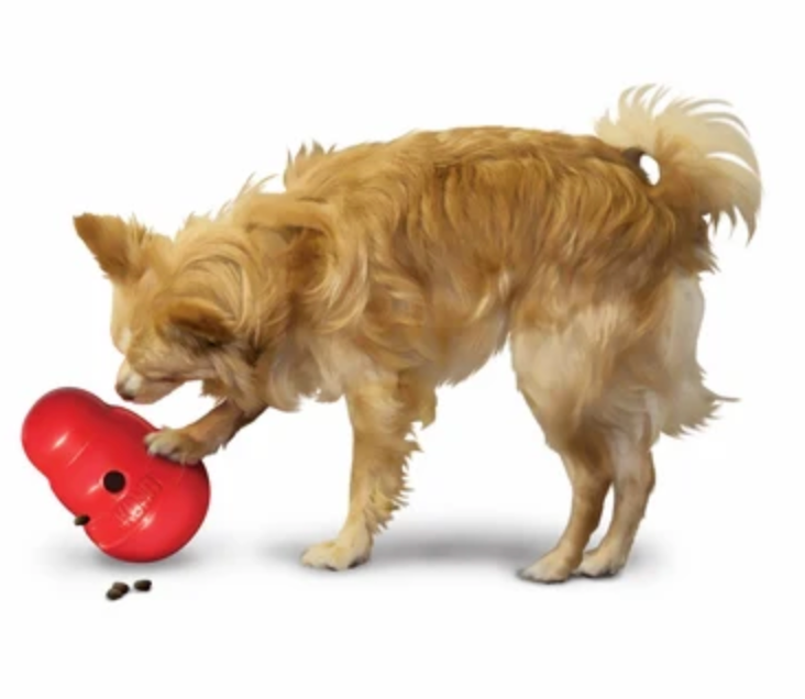KONG Wobbler Treat Dispensing Dog Toy - Dogs Go Shop