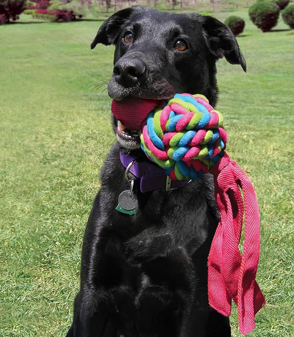 KONG Wubba Weaves Rope Tug Dog Toy - Dogs Go Shop
