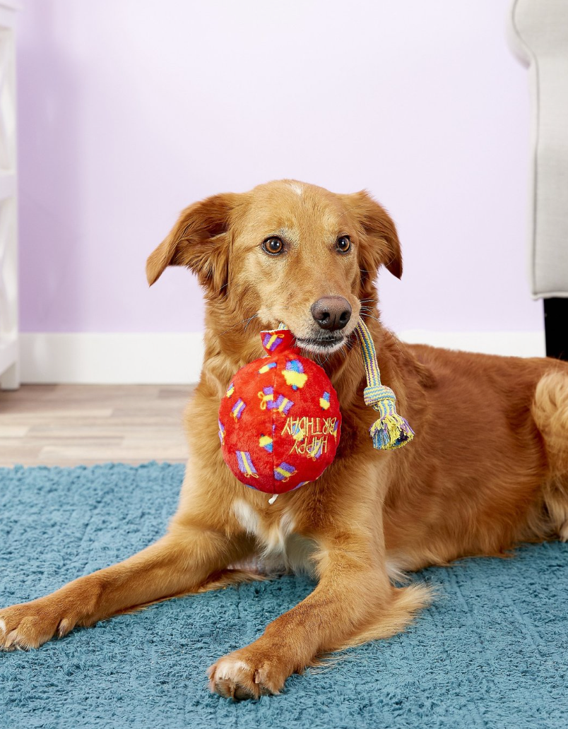 KONG Birthday Balloon Plush Dog Toy - Dogs Go Shop