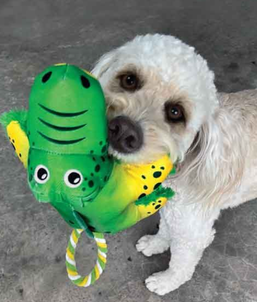 KONG Tuggs Cozie Alligator