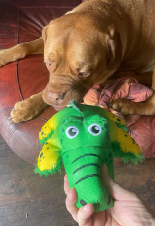 KONG Tuggs Cozie Alligator