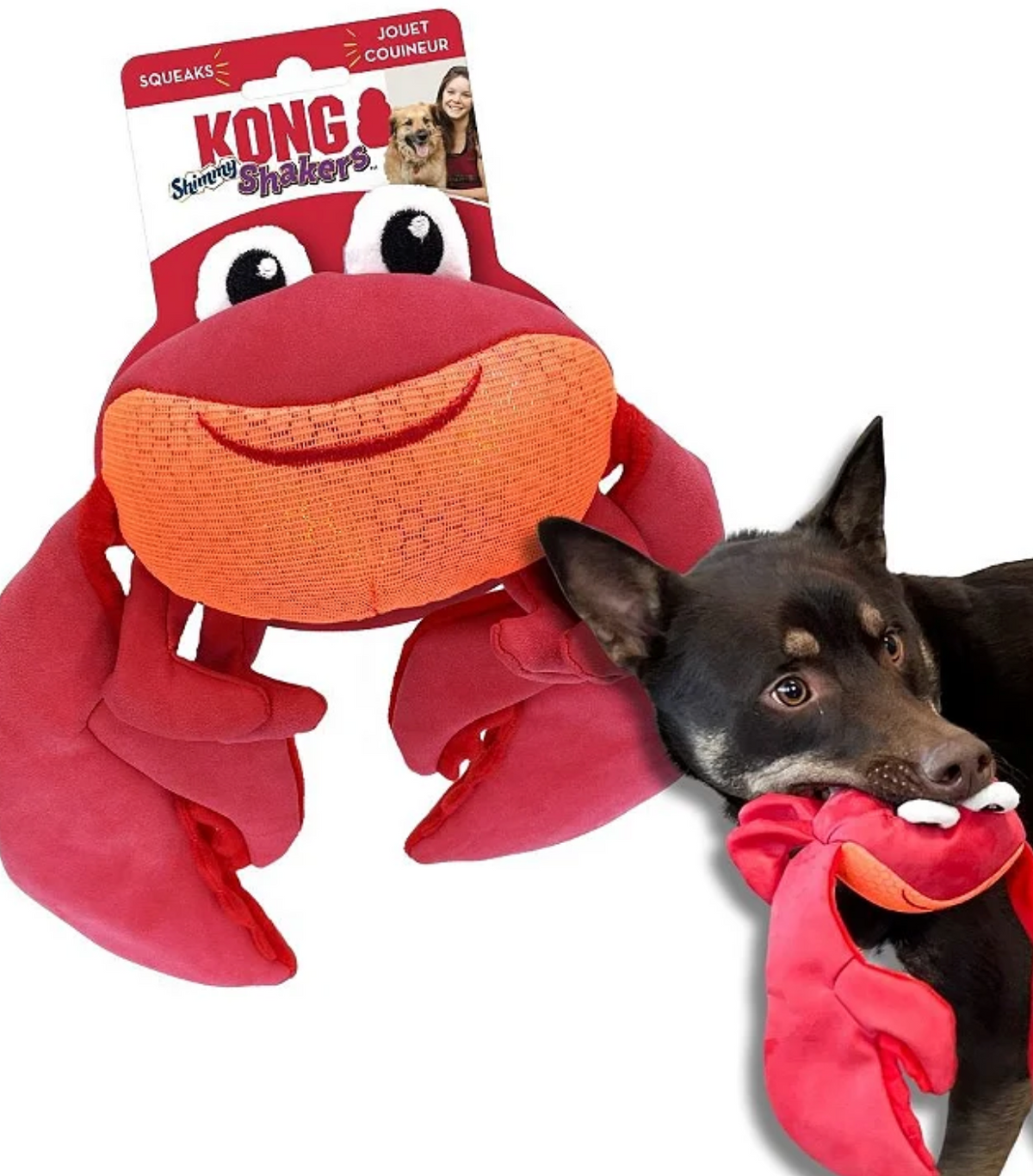 KONG Shimmy Shakers Crab Plush Dog Toy - Dogs Go Shop