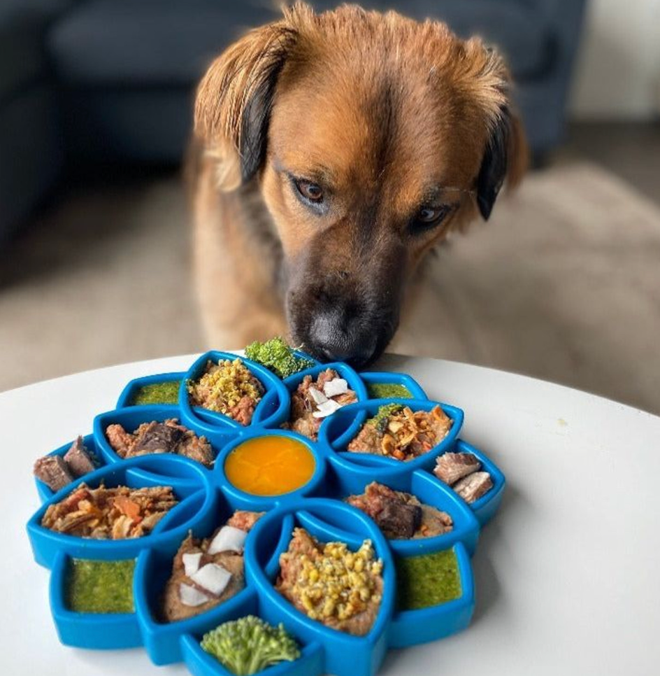 SodaPup Mandala eTray Slow Feeder Lick Mat - Chewbox