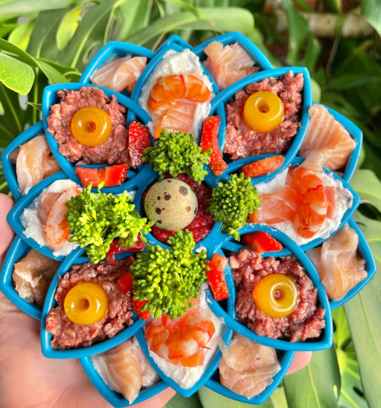 SodaPup Mandala Slow Feeder