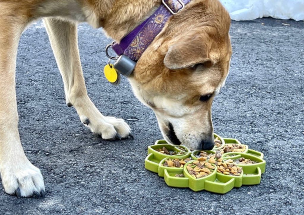 SodaPup Mandala eTray Slow Feeder Lick Mat - Chewbox