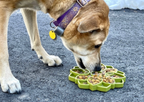 SodaPup Mandala eTray Slow Feeder Lick Mat - Chewbox