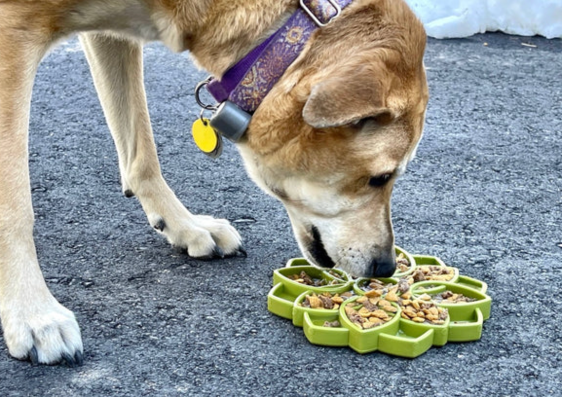 SodaPup Mandala eTray Slow Feeder Lick Mat - Chewbox