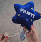 P.L.A.Y Best Time Ever Party Star Plush Dog Toy - Dogs Go Shop