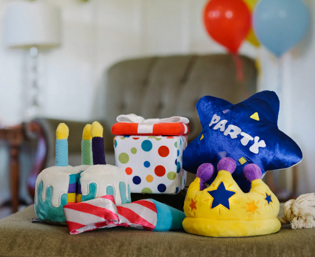 P.L.A.Y Best Time Ever Party Star Plush Dog Toy - Dogs Go Shop