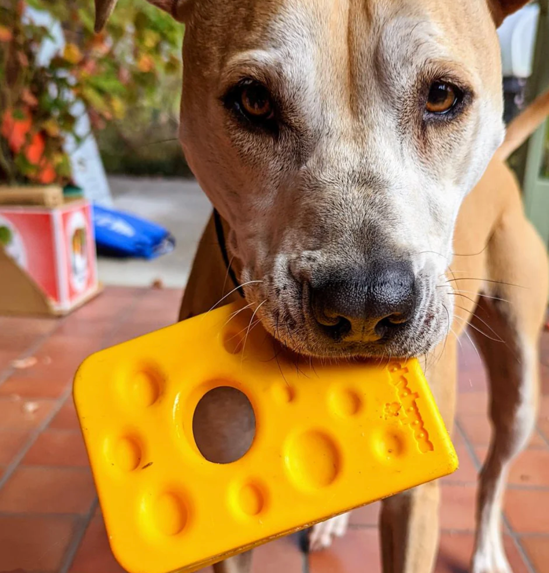 SodaPup Swiss Cheese Treat Dispenser Toy - Dogs Go Shop