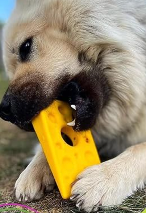 SodaPup Swiss Cheese Treat Dispenser Toy - Dogs Go Shop