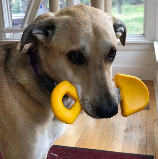 SodaPup Industrial Shovel