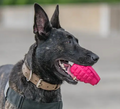 SodaPup Grenade Treat Dispenser Toy - Dogs Go Shop