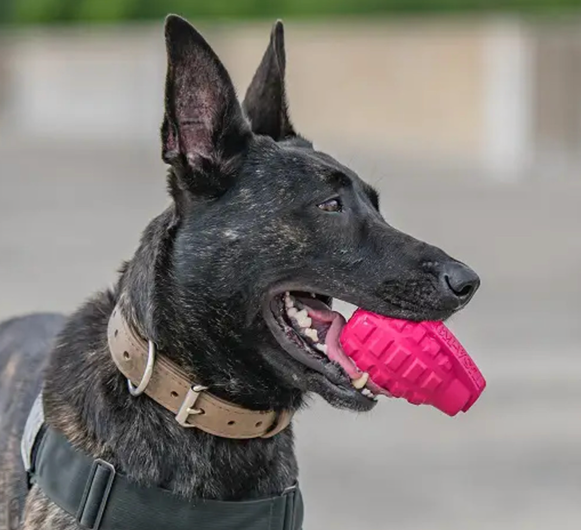 SodaPup Grenade Treat Dispenser Toy - Dogs Go Shop