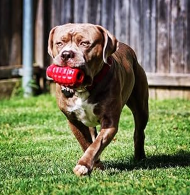 SodaPup Grenade Treat Dispenser Toy - Dogs Go Shop