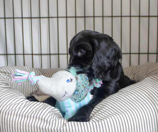 KONG Carnival Knots Elephant