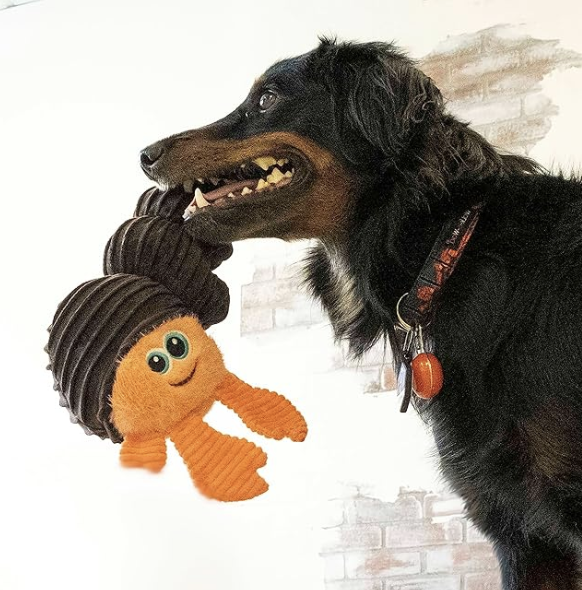 KONG CuteSeas Ruffles Hermit Plush Dog Toy - Dogs Go Shop