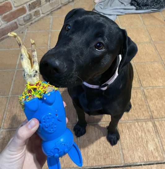 SodaPup Tough Bunny Chew and Enrichment Toy